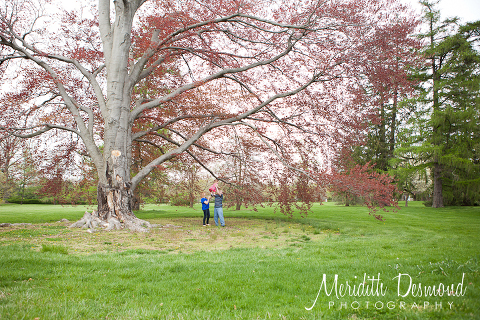 Monmouth County park