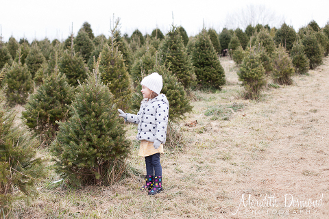 Tree Hunt 11-24-18--02 w logo