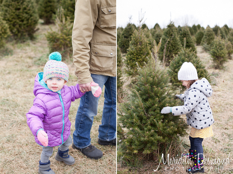 Tree Hunt 11-24-18--03 w logo